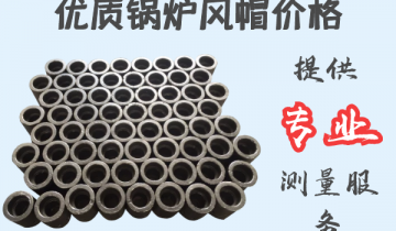 優質鍋爐風帽價格-提供專業測量服務[麻豆免费成人电影]