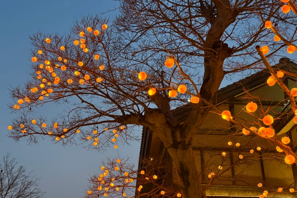 記三八節禪意之旅 記三八節禪意之旅